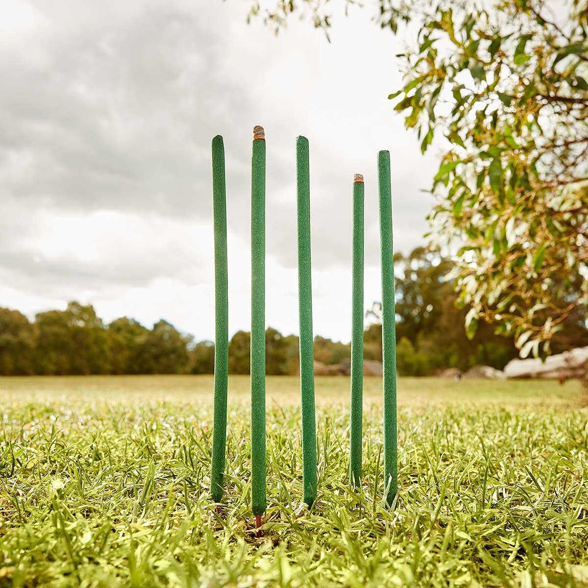 5 Piece Mosquito Repellent Sticks