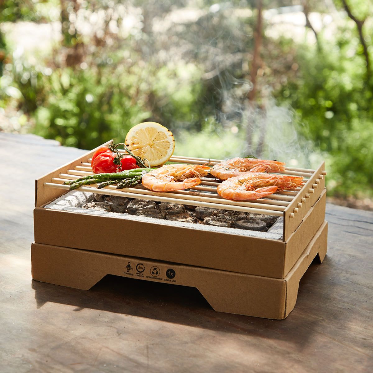 Portable BBQ