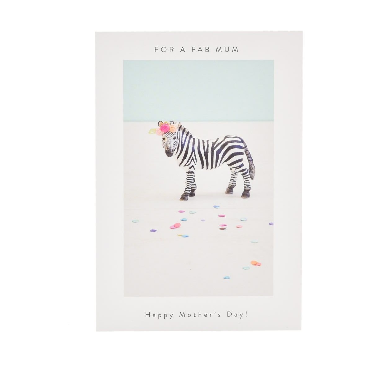 Hallmark Mother's Day Card - Cute Zebra
