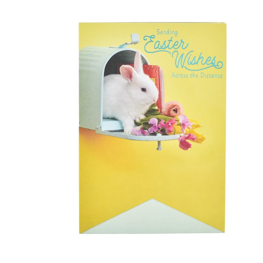 Hallmark Easter Card - Across The Miles Bunny
