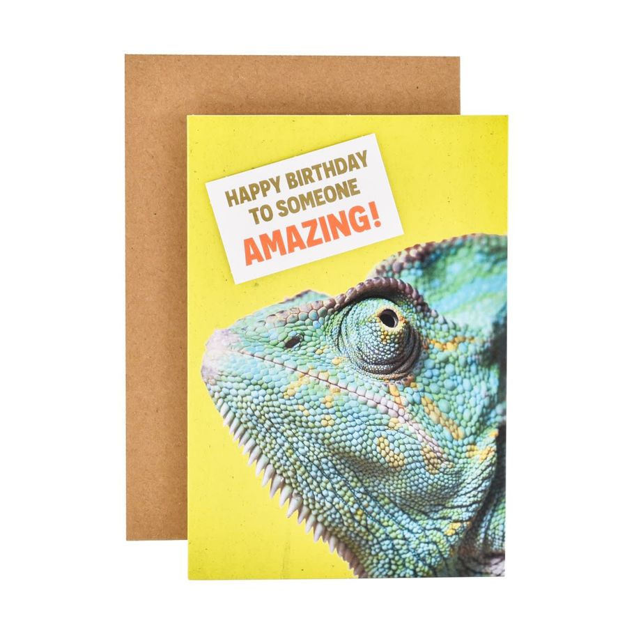 Hallmark Birthday Card - Cheeky Chameleon