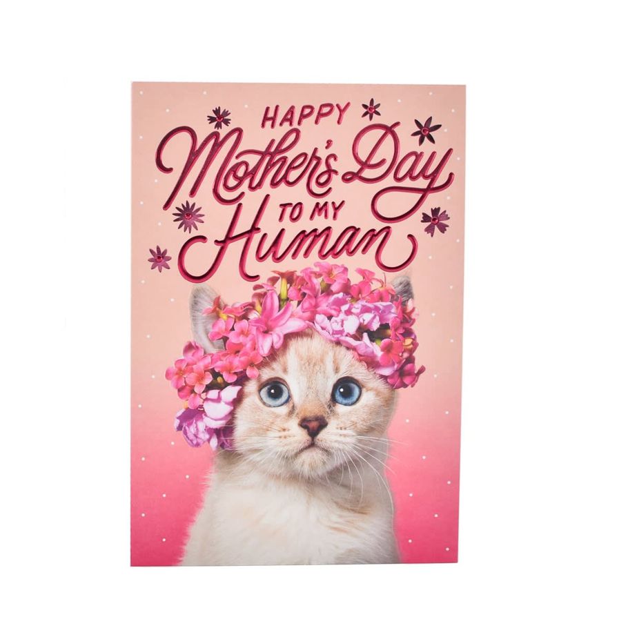 Hallmark Mother's Day Card - To My Human