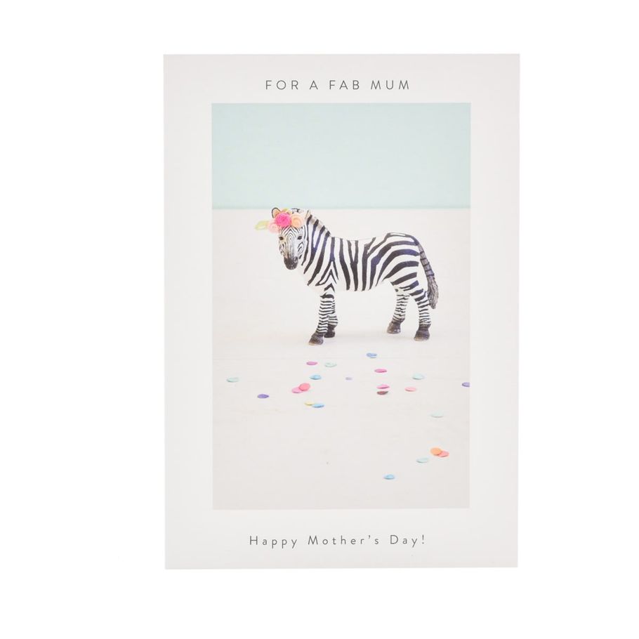 Hallmark Mother's Day Card - Cute Zebra
