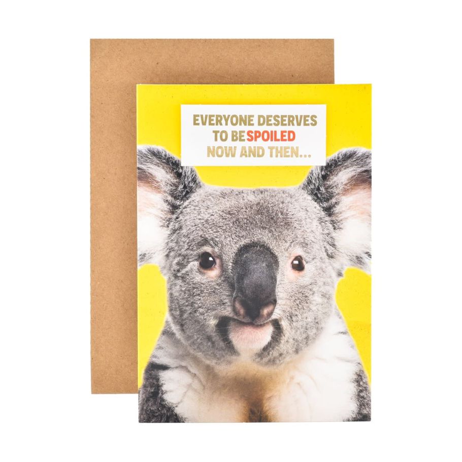 Hallmark Birthday Card - Cheeky Koala