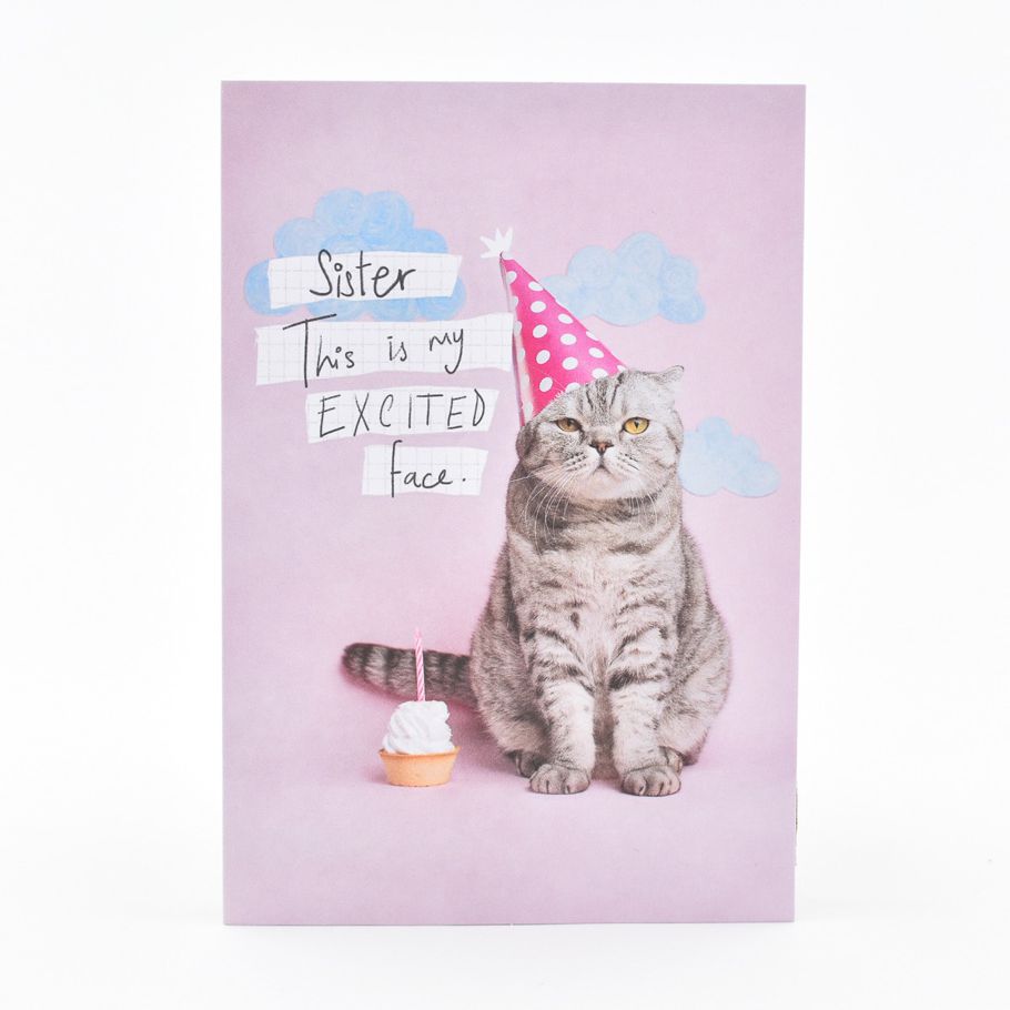 Hallmark Birthday Card For Sister - Party Cat