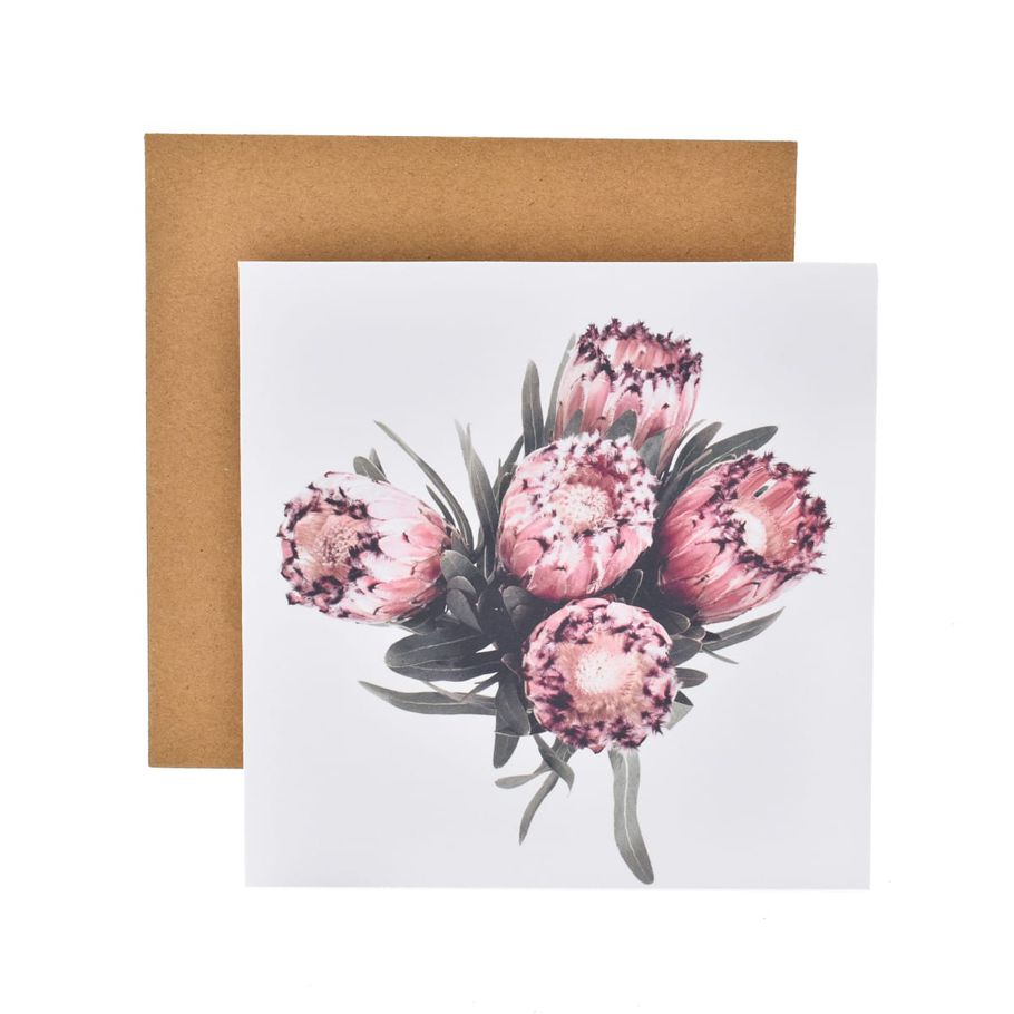 Hallmark Gallery Blank Card by Donna Delaney - Pink Protea