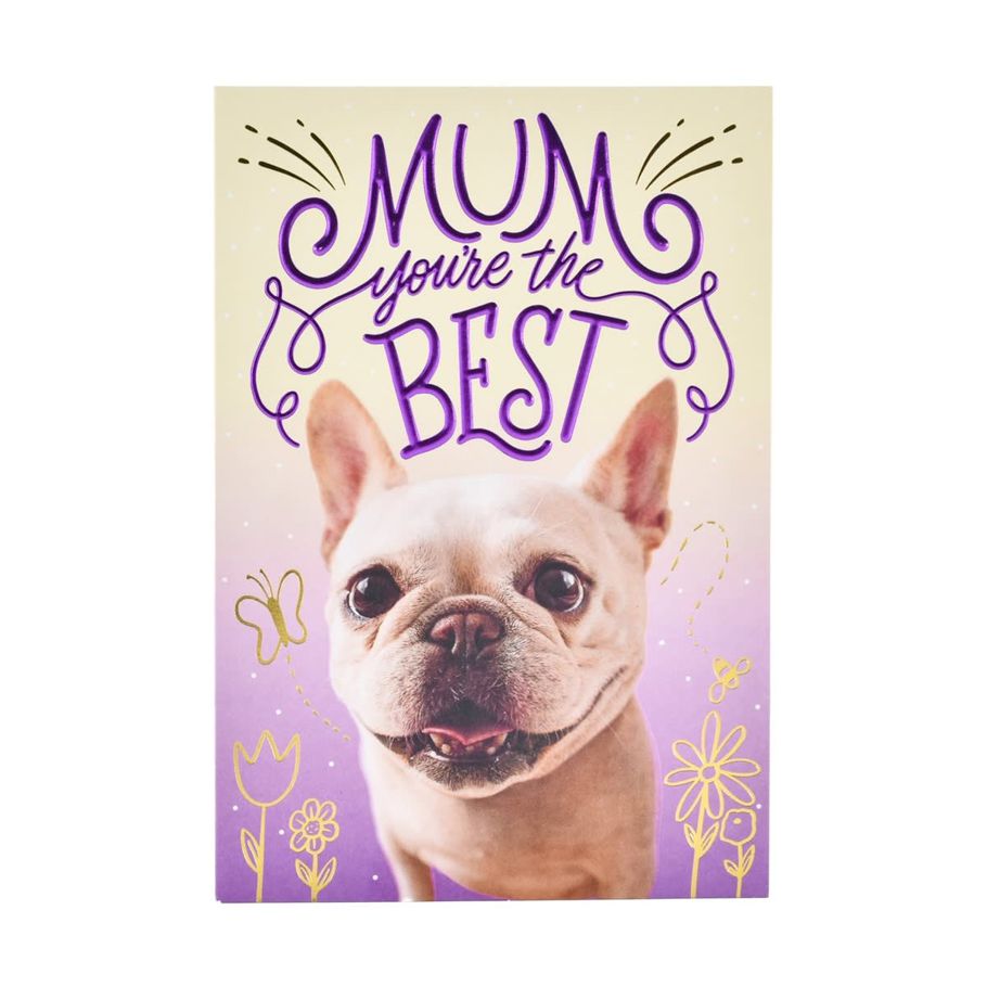 Hallmark Mother's Day Card - Adorable Dog