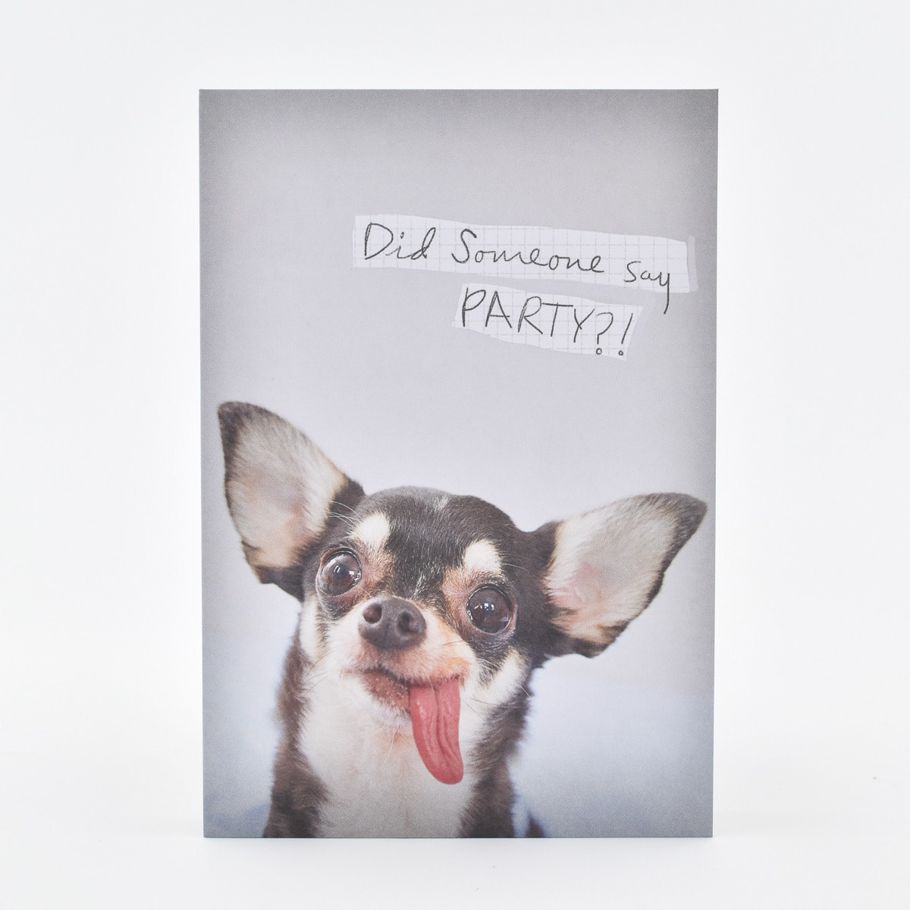 Hallmark Birthday Card - Funny Dog