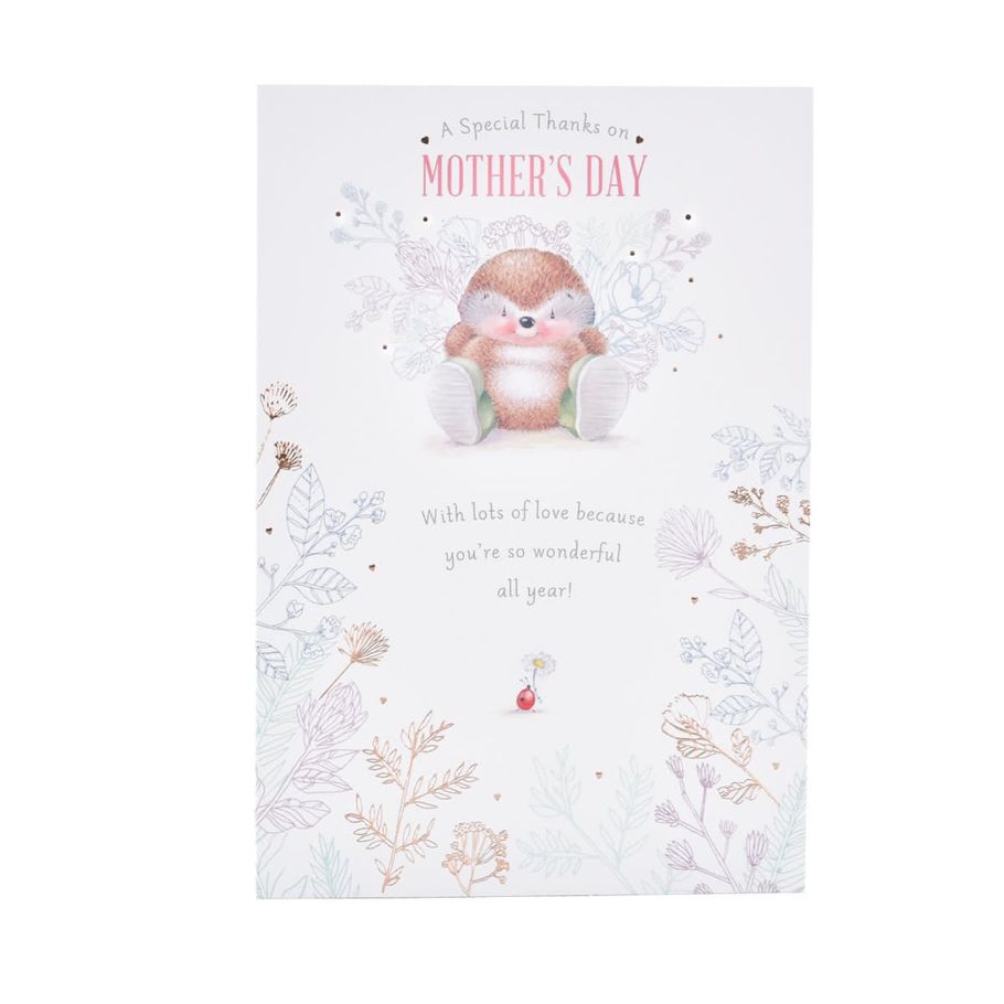 Hallmark Mother's Day Card - A Special Thanks