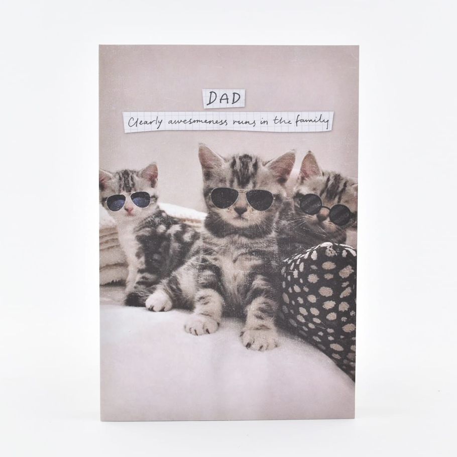 Hallmark Birthday Card For Dad - Kittens