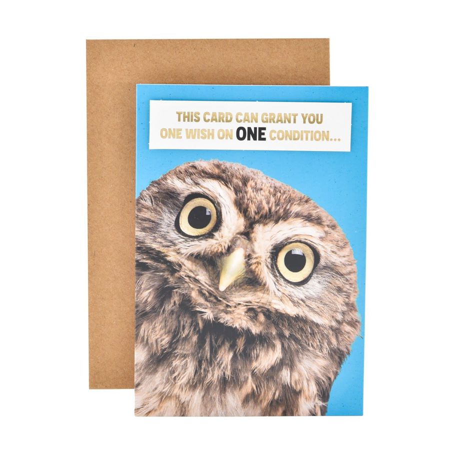 Hallmark Birthday Card - Cheeky Owl