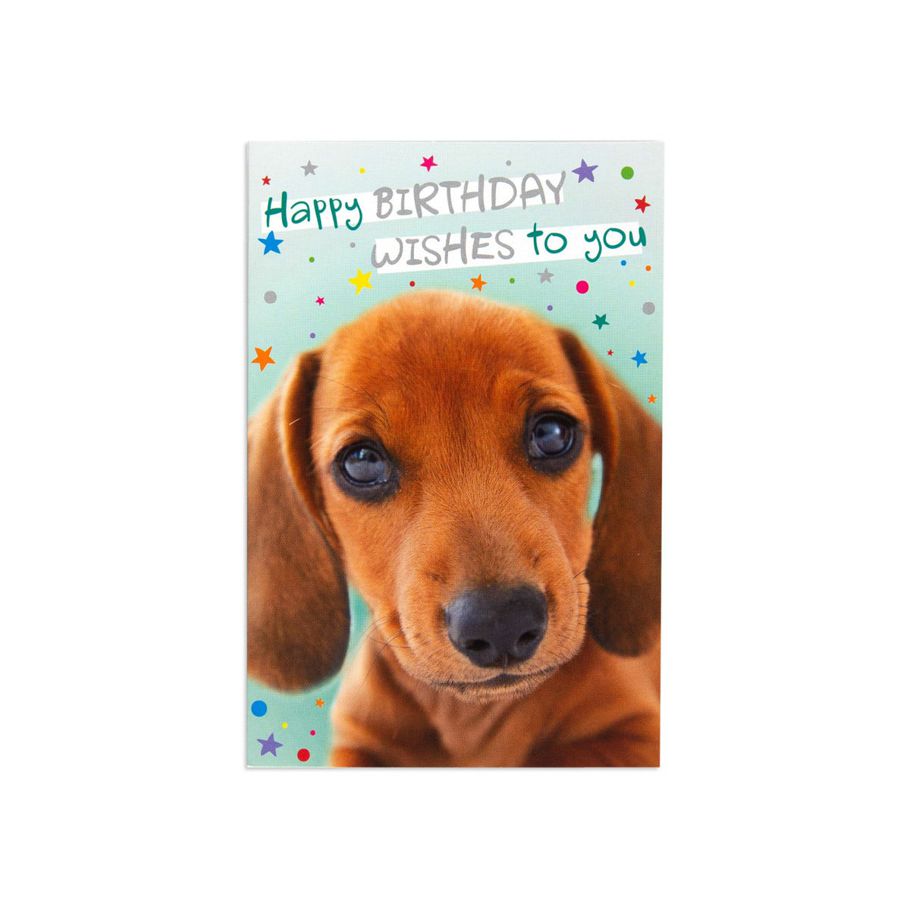 Hallmark Birthday Card by Creative Publishing - Dachshund Dog