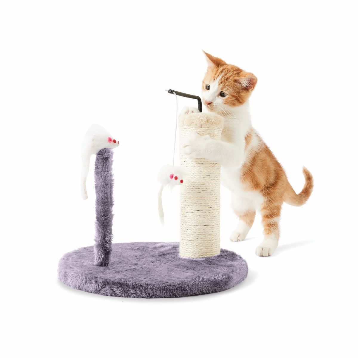 Cat Scratcher With Teasers