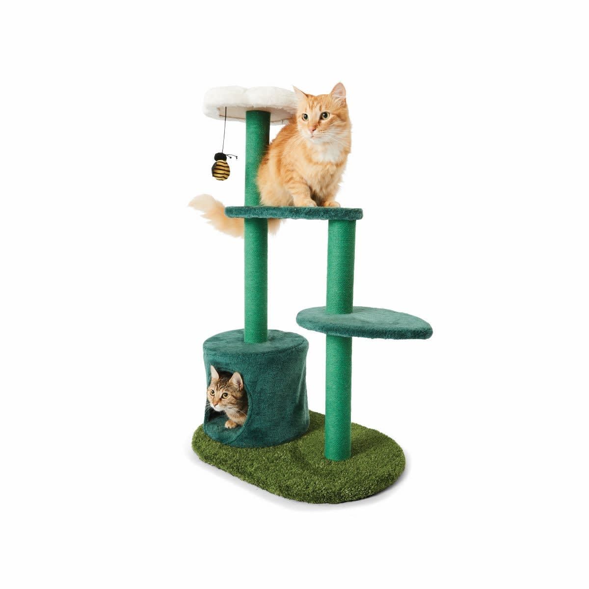Cat Tower Flower