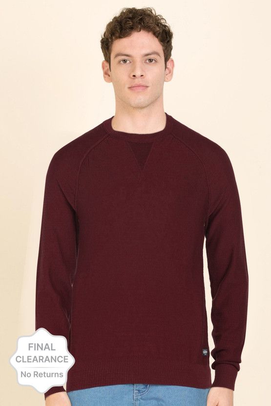 Men Solid Crew Neck Purple Sweater