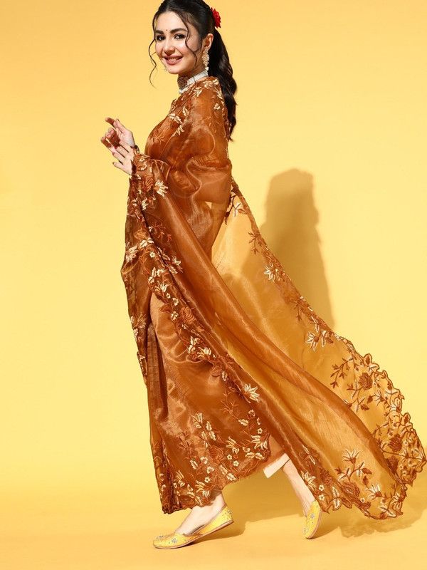Embroidered Bollywood Organza Saree  (Brown)