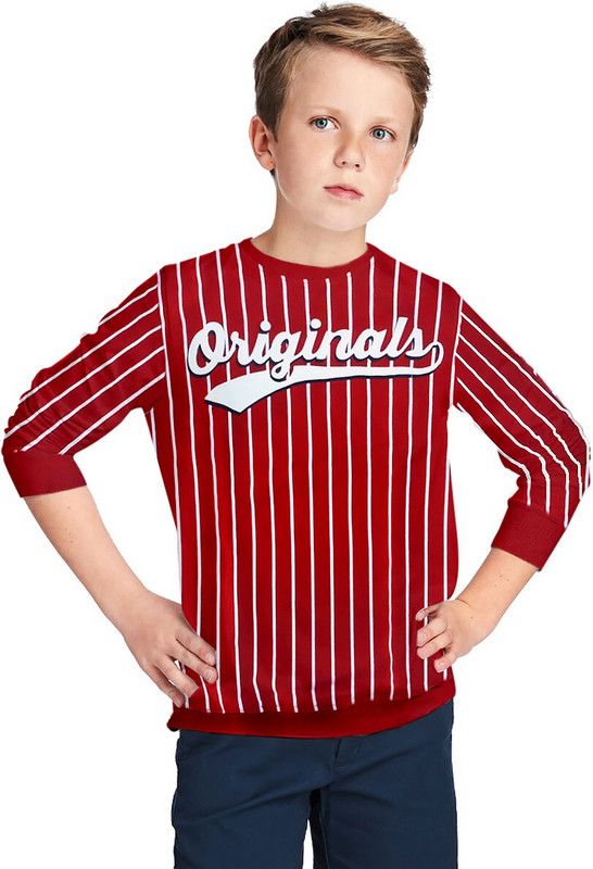 Boys Full Sleeve Striped, Printed Sweatshirt