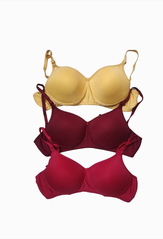 Women Full Coverage Lightly Padded Bra  (Multicolor)