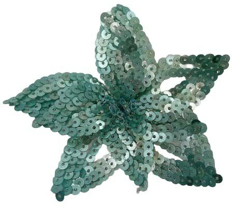 An Accessorie Applique Patch  (1, Multicolor)
