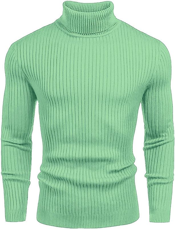 Men Striped Turtle Neck Light Green Sweater