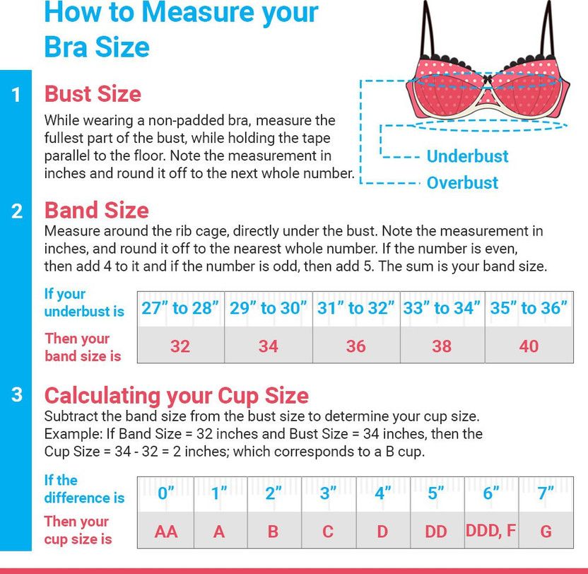 Pack of 3 Women Full Coverage Bra  (Blue)