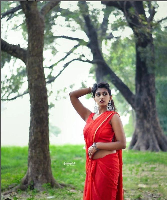 Solid/Plain Daily Wear Chiffon Saree  (Red)