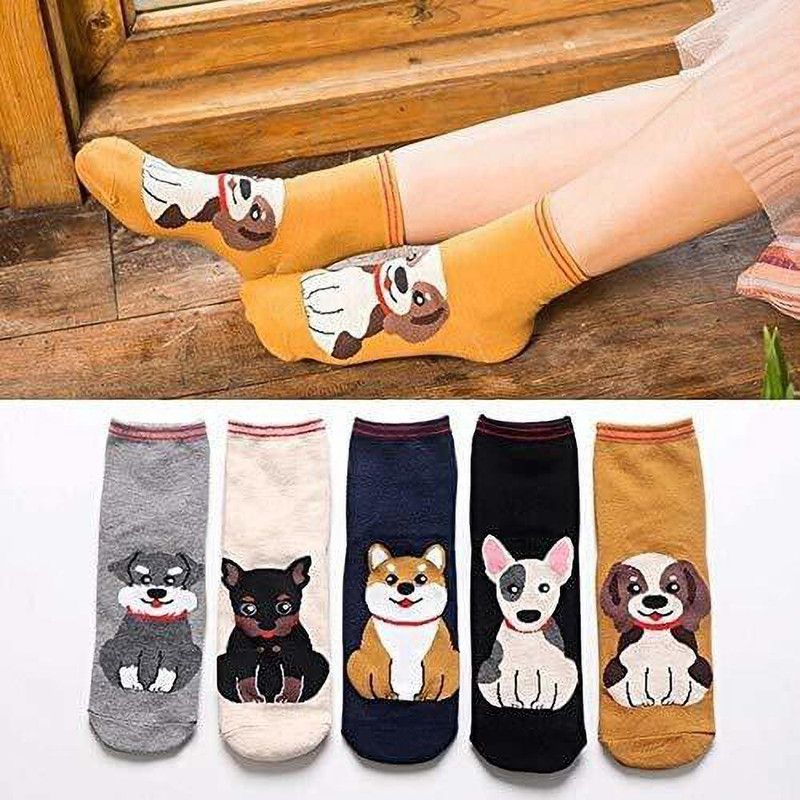 Unisex Printed Mid-Calf/Crew  (Pack of 5)