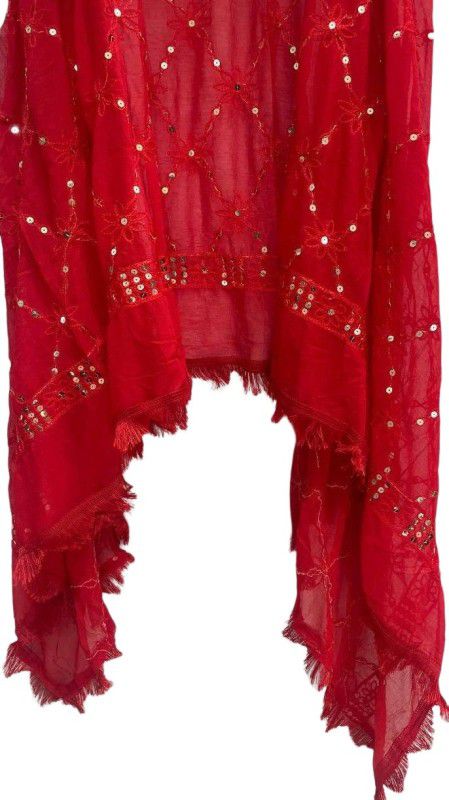 Chiffon Self Design, Embellished, Embroidered, Striped, Solid Red Women Dupatta