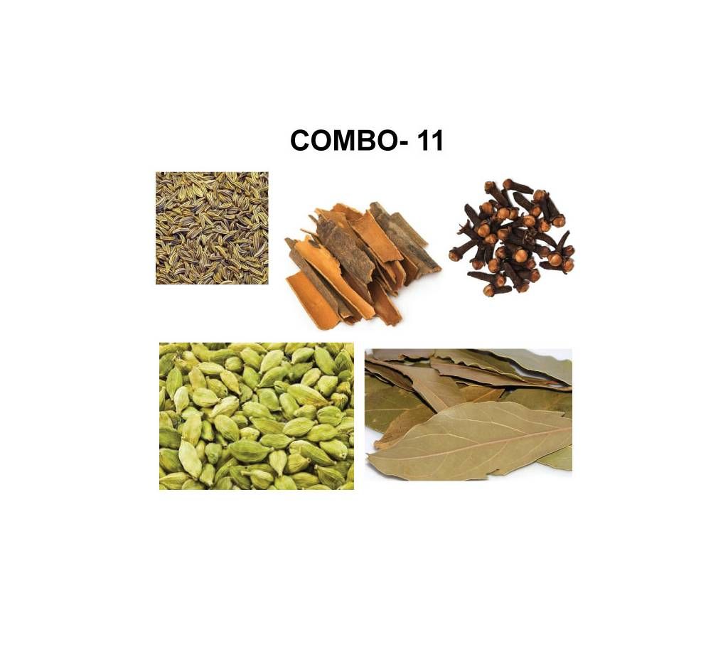 SPICE COMBO - 11