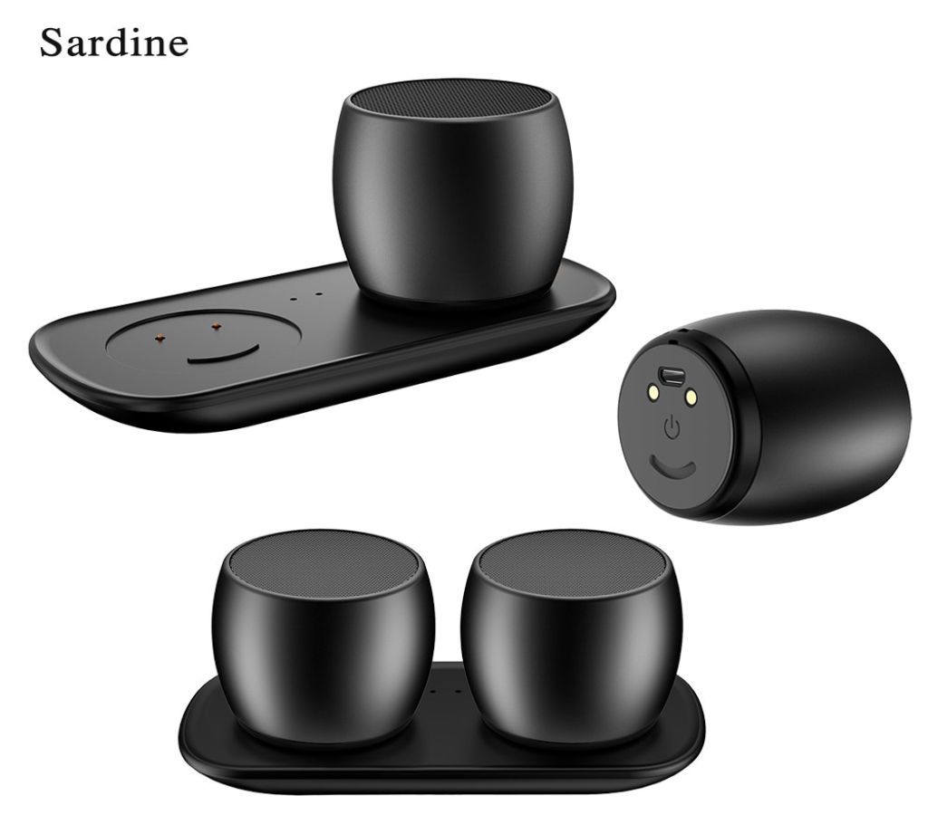 Ewa A103 Bluetooth Speaker Black