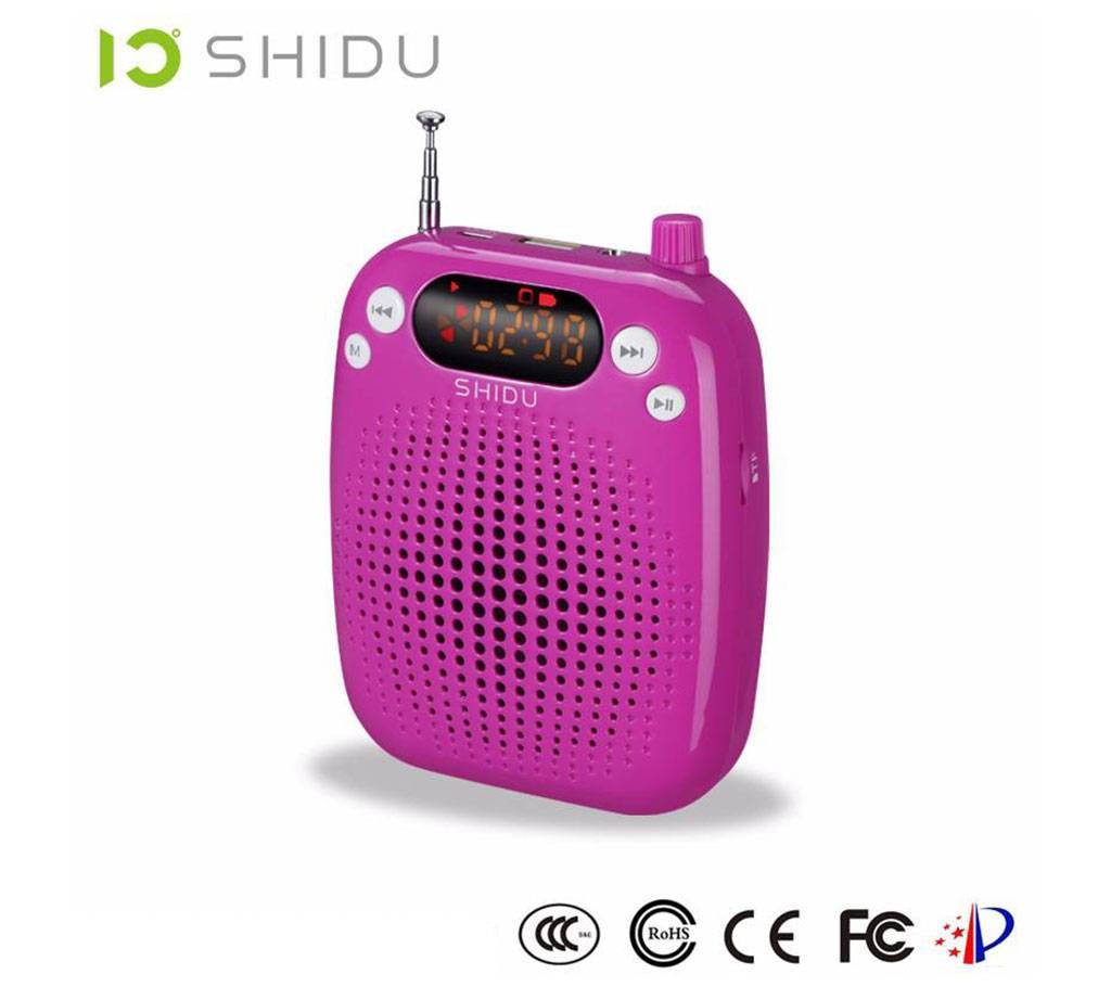Wireless Voice system