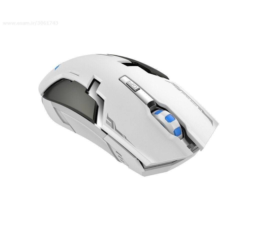 HAVIT Wireless Gaming Optical Mouse MS997GT