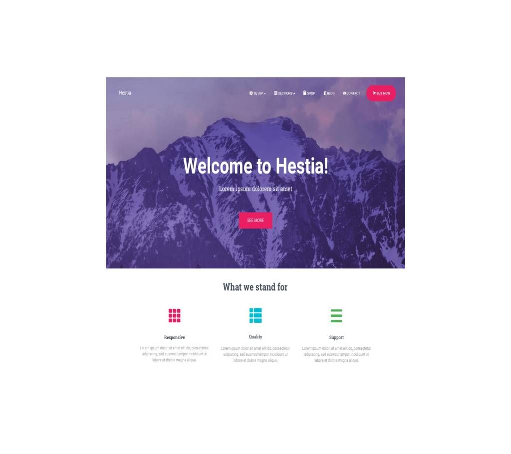 Hestia  WordPress theme Version-2.1.1