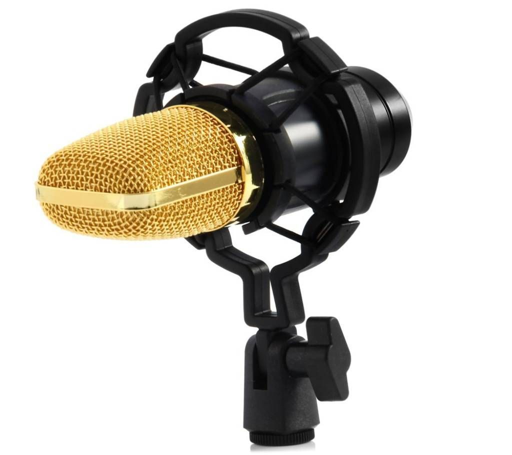 BM700 Dynamic Microphone