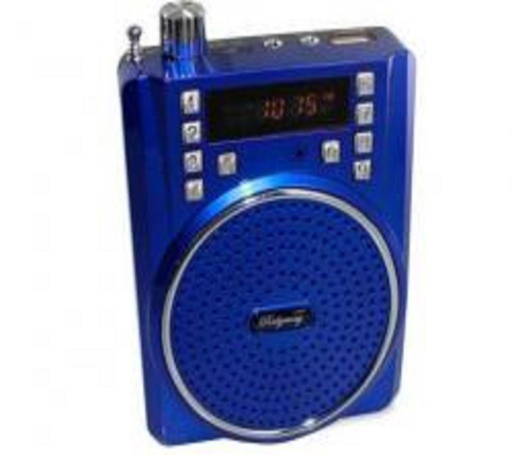 Rechargeable Bluetooth Speaker, FM Radio, MP3 Player