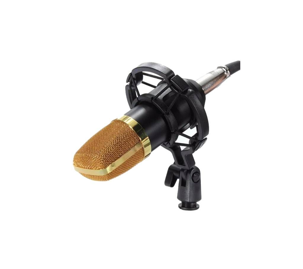 Studio Microphone BM-100