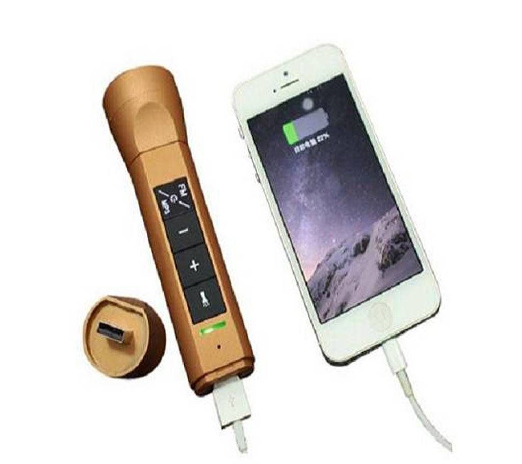 LED Flash Light Sports Music Speaker