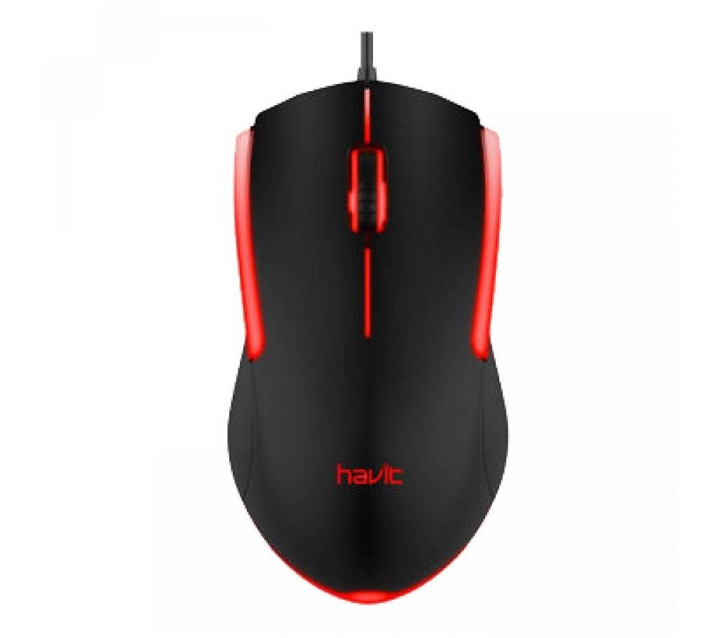 Havit USB Optical Lighting Mouse MS839