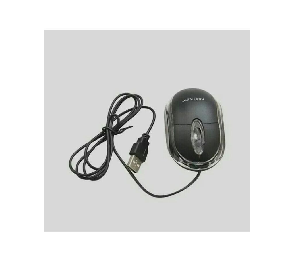 mouse