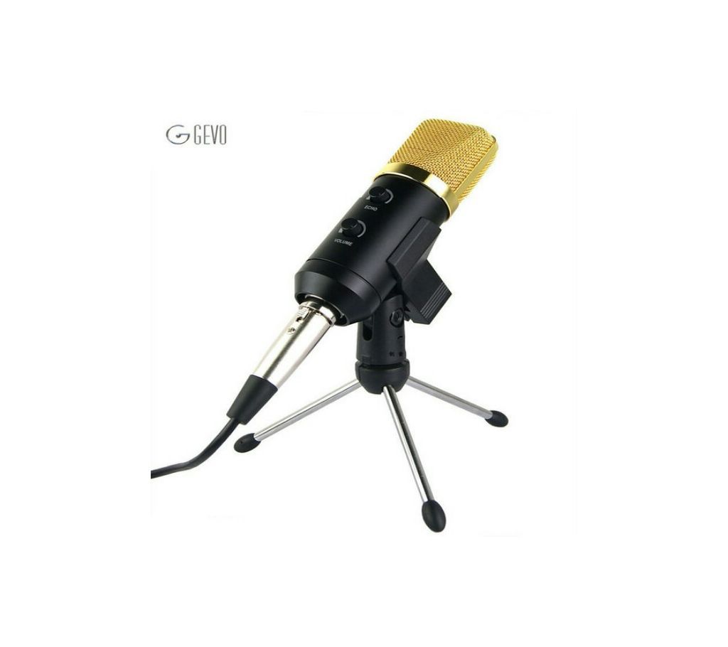 HuaShun  BM100FX Cardioid Pick-Up Condenser Microphone