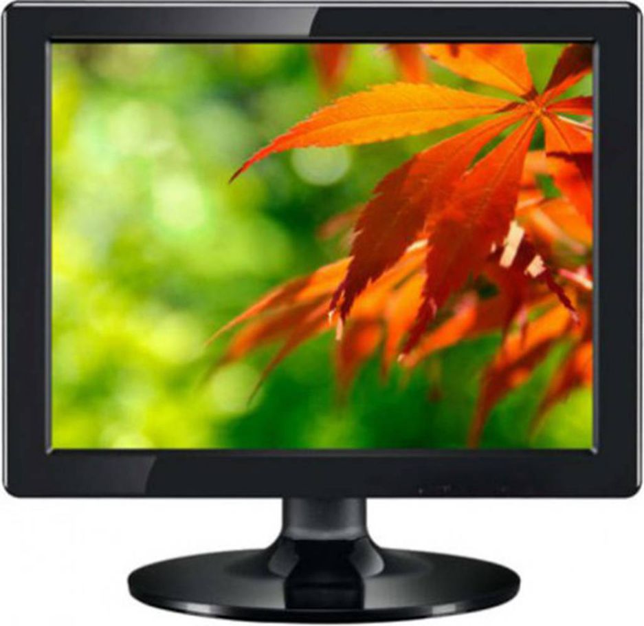 Esonic LCD monitor - 17 inches
