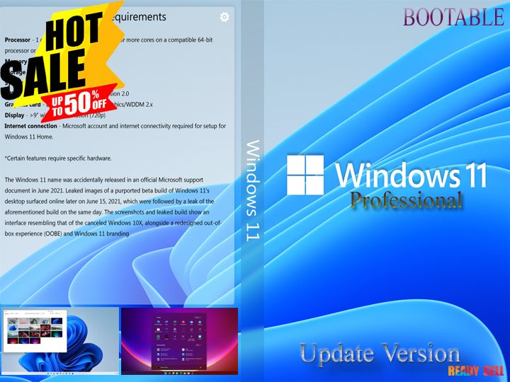 Windows 11 ((Professional Disk))