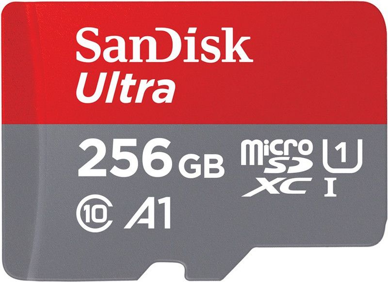 SanDisk Ultra 256 GB MicroSDHC Class 10 120 Mbps Memory Card