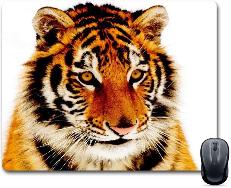 Furnish Fantasy FF_MousePad_0144 Mousepad  (Multicolor)