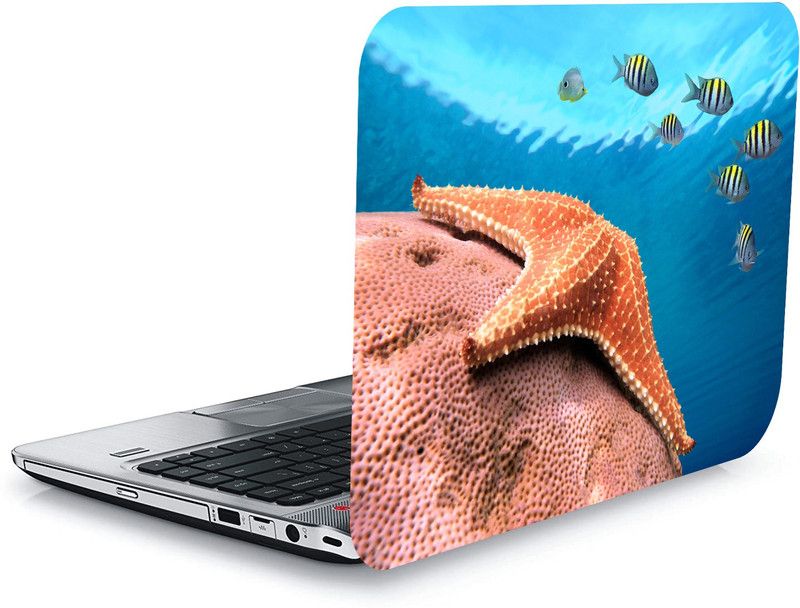 qthinfra QTH DYNAMIC DESIGN LAPTOP STICKER 15.5 Inch QTH-L18-1826 VINYL Laptop Decal 15.5