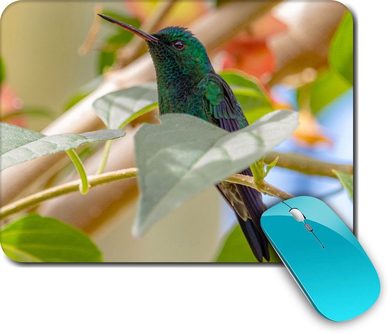 whats your kick Birds | Birds Design | For Kids| Colorful |Creative | Printed Mouse Pad/Designer Waterproof Coating Gaming Mouse Pad For Computer/Laptop (Multi6) Mousepad  (Multicolor)