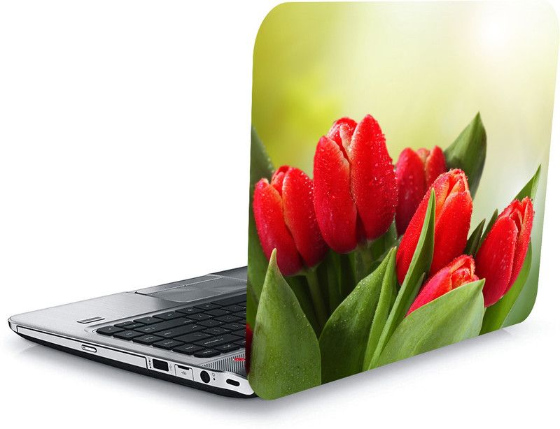 qthinfra QTH DYNAMIC DESIGN LAPTOP STICKER 15.5 Inch QTH-L18-1898 VINYL Laptop Decal 15.5
