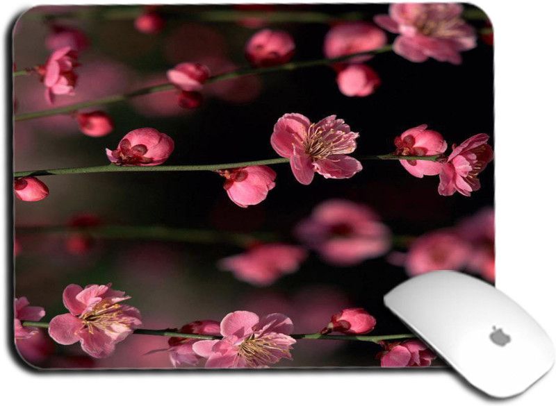 whats your kick Flower | Floral | Pattern | Decor | Printed Mouse Pad/Designer Waterproof Coating Gaming Mouse Pad For Computer/Laptop (Multi5) Mousepad  (Multicolor)