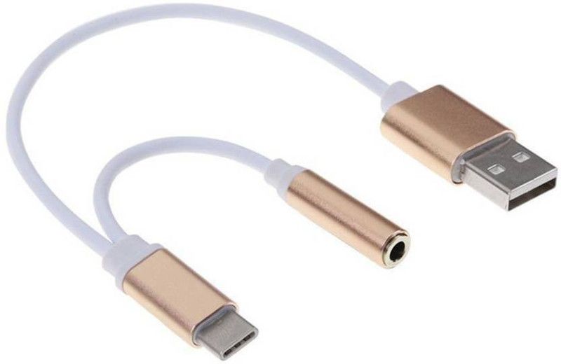 OLECTRA Type-C Male to 3.5mm Female Jack Earphone AUDIO AND CHARGE CABLE Headphone USB Adapter (Gold) Worldwide Adaptor  (Multicolor)