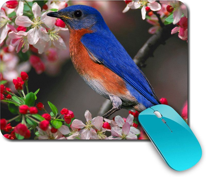 whats your kick Birds | Birds Design | For Kids| Colorful |Creative | Printed Mouse Pad/Designer Waterproof Coating Gaming Mouse Pad For Computer/Laptop (Multi1) Mousepad  (Multicolor)